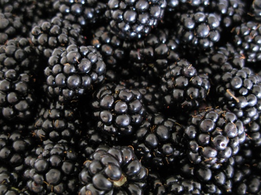 How To Buy Blackberry